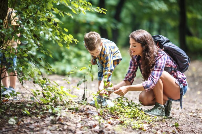 Activités pour apprendre à respecter la nature et l’environnement