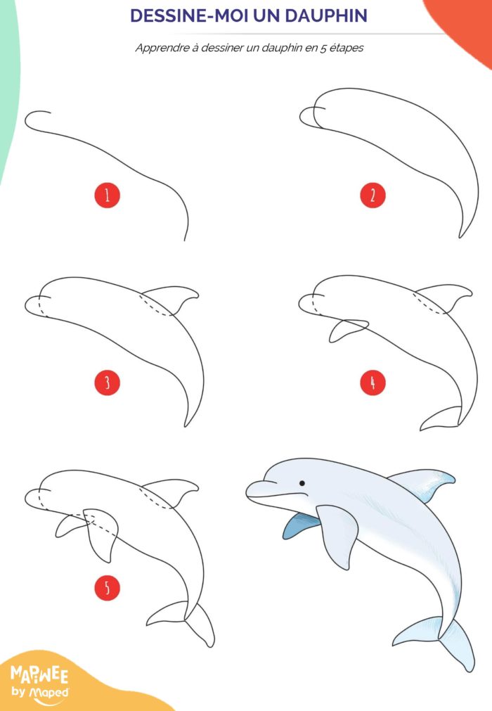 como dibujar animales marinos para niños