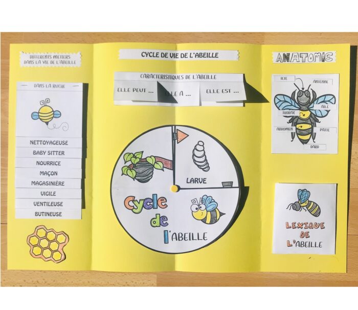 Fabriquer un lapbook sur les abeilles