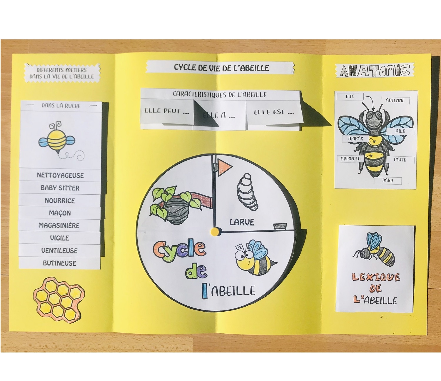 Fabriquer un lapbook sur les abeilles