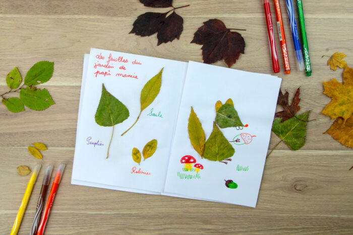 DIY Automne : créer un herbier rigolo