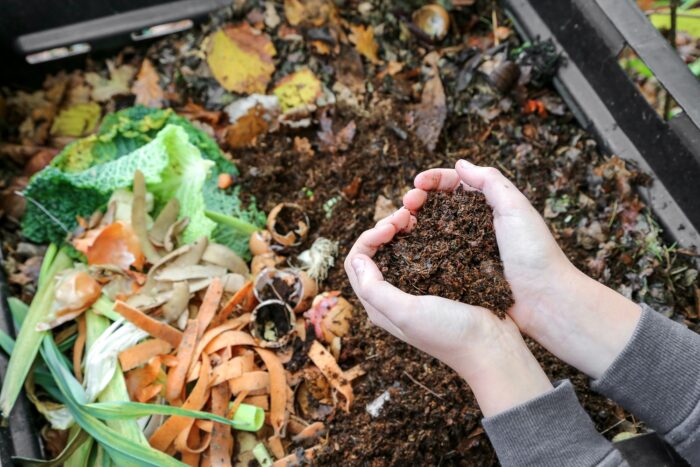 Initier mon enfant au compost pour jeter les déchets organiques