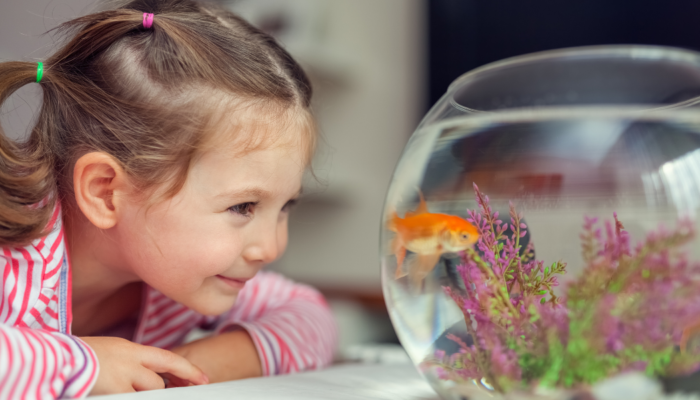 mapiwee-by-maped-la-couleur-des-animaux-quel-est-est-son-rôle