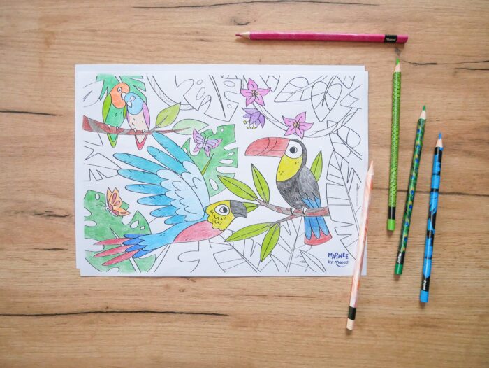 cahier de jeux et coloriages sur les animaux à imprimer gratuitement