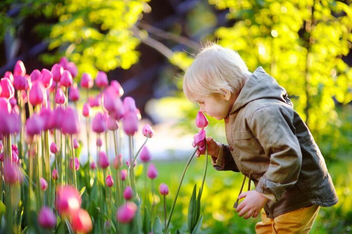 Quiz sur le printemps : gagne des produits Maped !