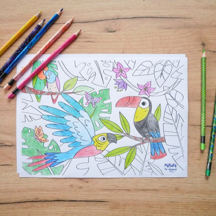 COLORIAGE - Toucan et perroquet à imprimer