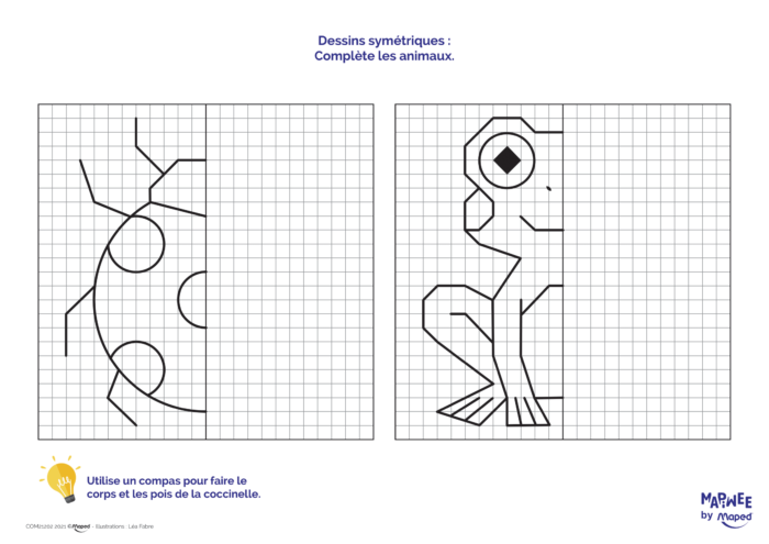 mapiwee-by-maped-apprendre-a-dessiner-avec-les-symetries-des-animaux-une-coccinelle-et-une-grenouille-1