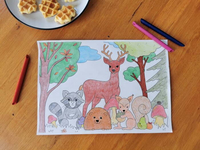 Cahier de coloriages et activités découverte de la nature à imprimer