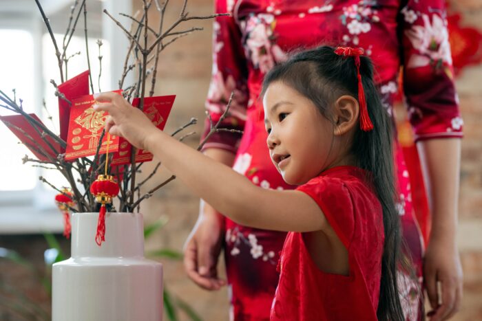 nouvel an chinois 2025 année du serpent de bois image couverture
