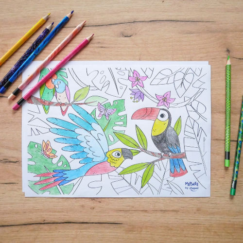 Cahier de coloriages animaux