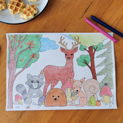 Cahier de coloriages et activités Nature et Forêt