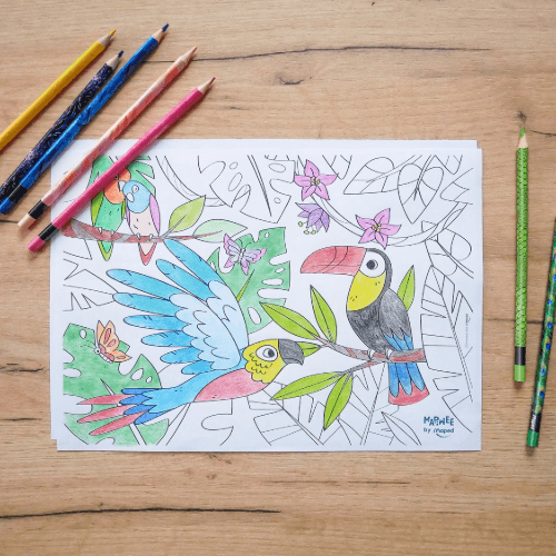 Cahier de coloriages animaux