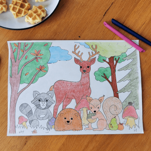 Cahier de coloriages et activités Nature et Forêt