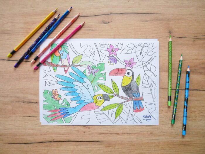Coloriage toucan et perroquet