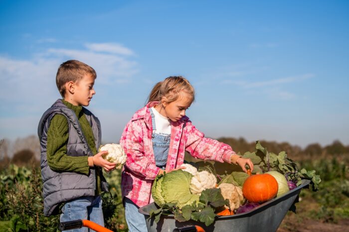 Manger de saison et l'agriculture expliqués aux enfants