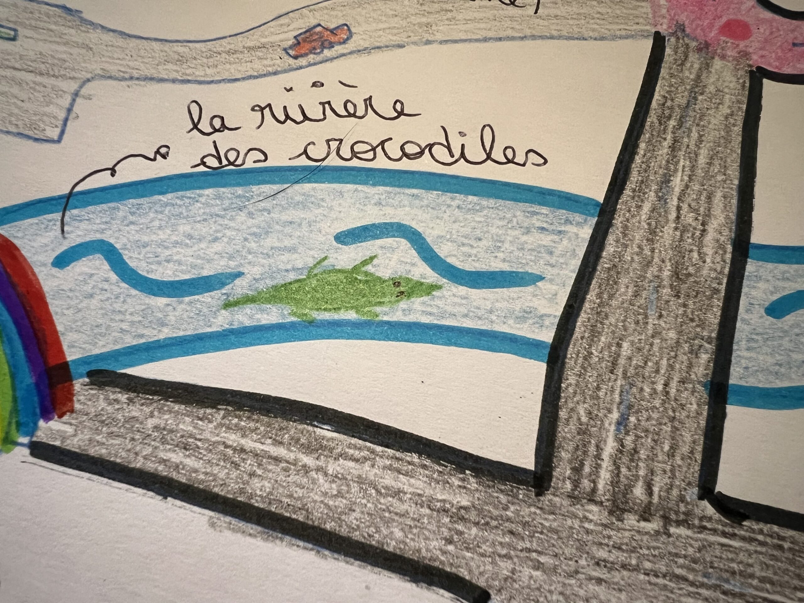 Carte magique imagination crocodile