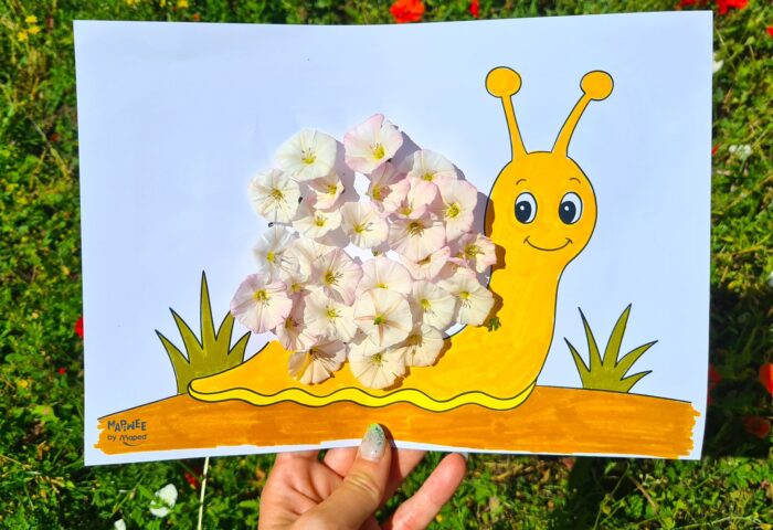 Escargot dont la coquille est composée de liserons blancs, tableau floral en fleurs