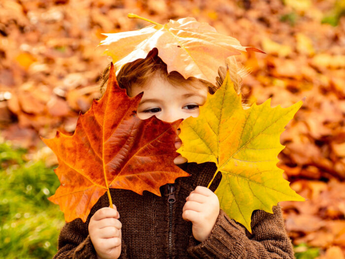 Petit garçon dans les feuilles d'automne