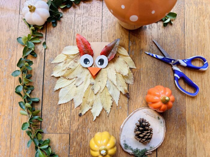 Hibou avec des feuilles d'arbres